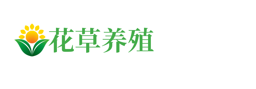 畅享热门养生话题与桑拿网服务
